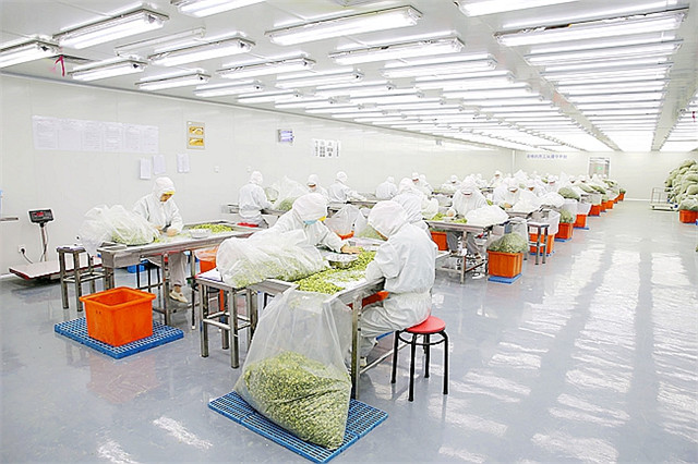 西安凈化工程廠家淺談生物實驗室工程設計要求有哪些？